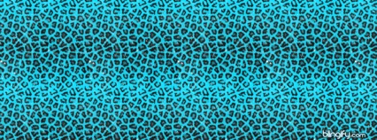 Animal Print
