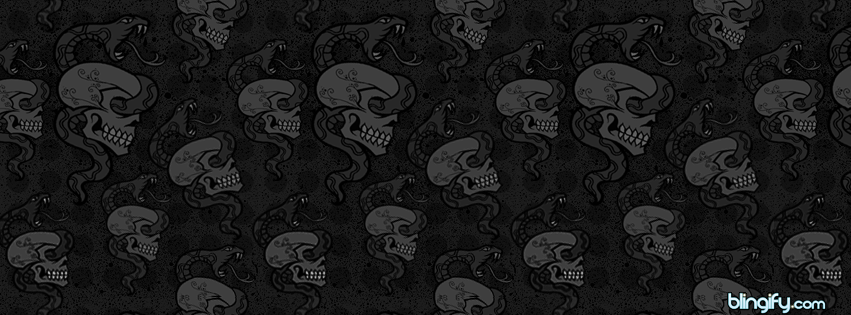 Black And White Skulls facebook cover