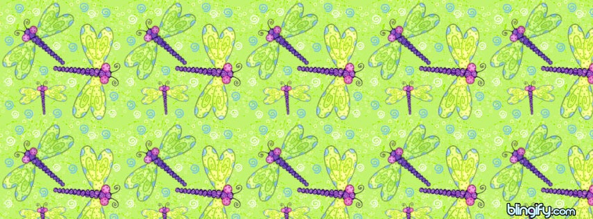 Dragonfly facebook cover