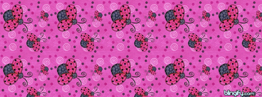 Ladybugs facebook cover