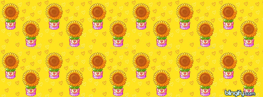 Sun Flowers facebook cover