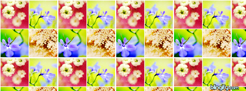 Flower Icons facebook cover