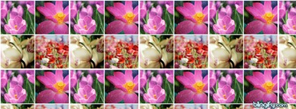 Flower Icons