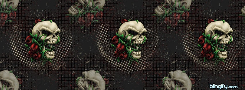 Roseskull facebook cover