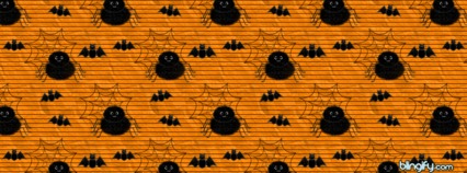 Spider Bats
