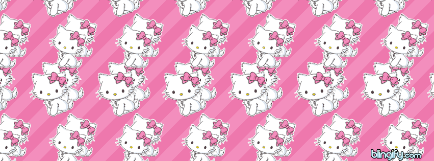 Falling Kitty facebook cover