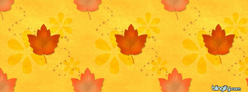 Fall Leaves facebook cover