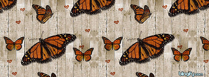 Wood Butterfly facebook cover