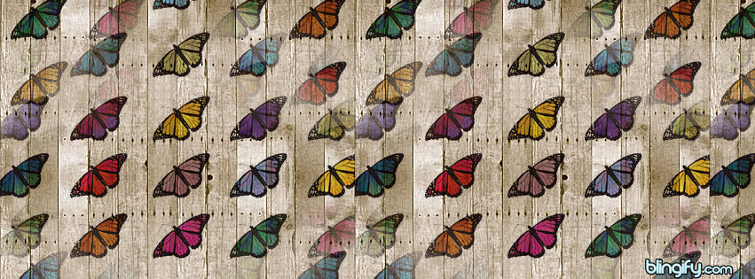 Wood Butterfly facebook cover