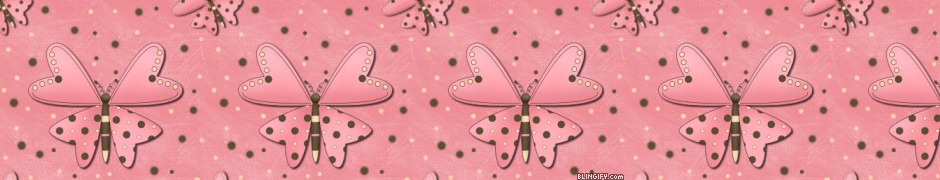 Pink Butterfly google plus cover