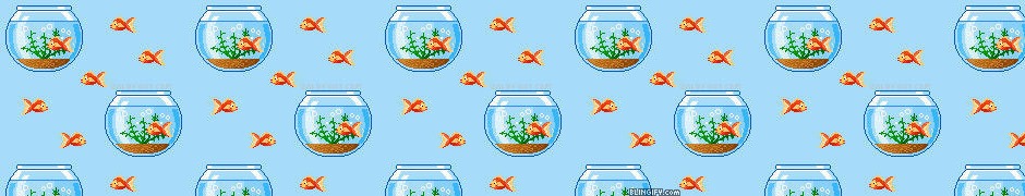 Cute Fish Tank google plus cover