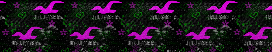 Hollister Birds  google plus cover