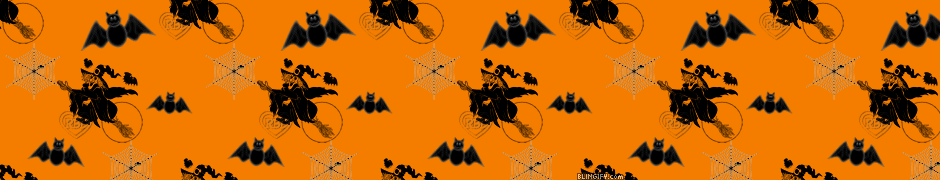 Witch Bat google plus cover