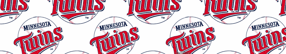 Minnesota Twins google plus cover