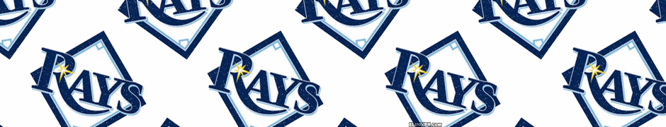 Tampa Bay Rays google plus cover