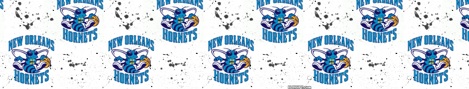 New Orleans Hornets google plus cover