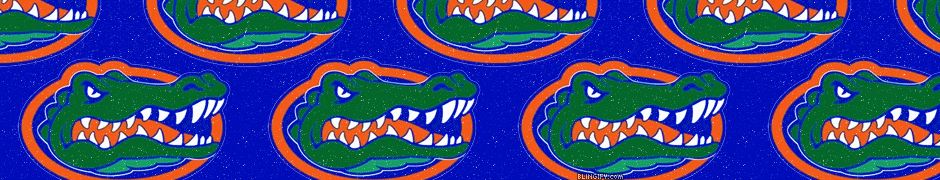 Florida Gators google plus cover