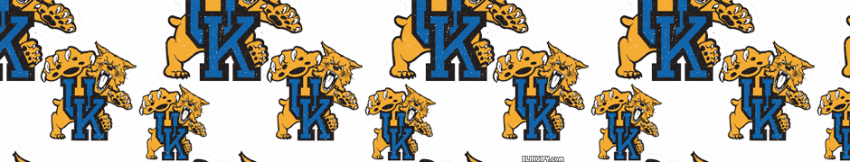 Kentucky Wildcats google plus cover