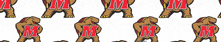 Maryland Terrapins google plus cover