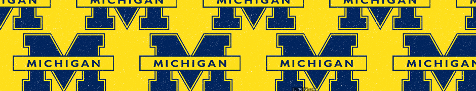 Michigan Wolverines google plus cover