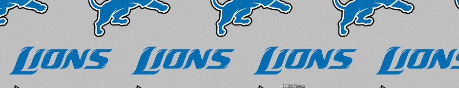 Detroit Lions google plus cover