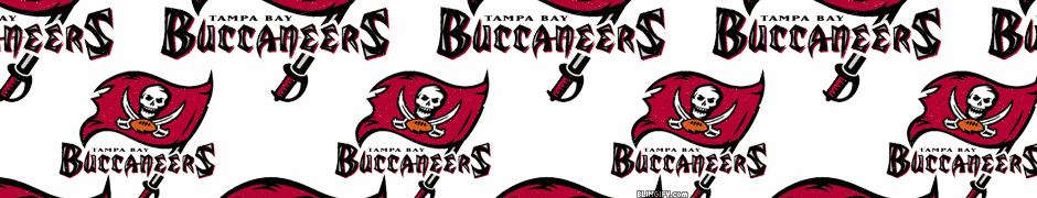 Tampa Bay Buccaneers google plus cover