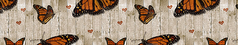 Wood Butterfly google plus cover