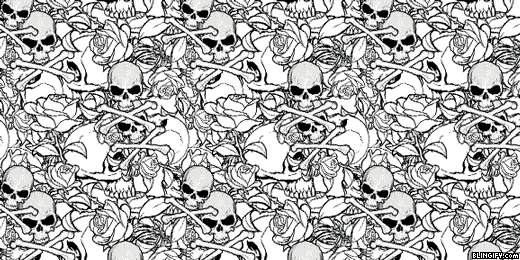 Black And White Skulls google plus cover