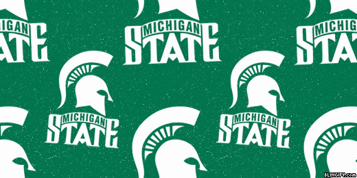 Michigan State Spartans google plus cover