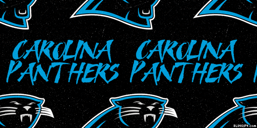 Carolina Panthers google plus cover