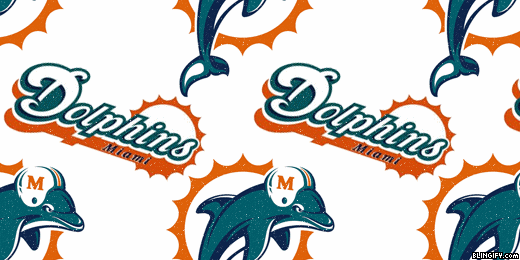 Miami Dolphins google plus cover