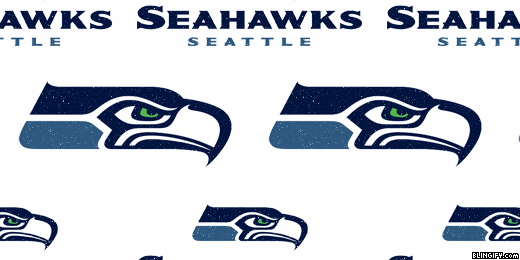 Seattle Seahawks google plus cover