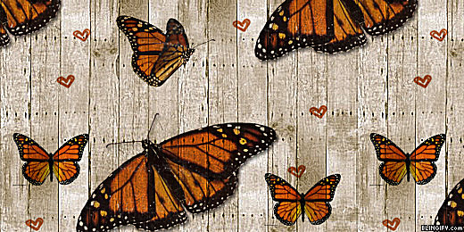 Wood Butterfly google plus cover