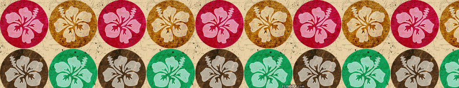 Flower  google plus cover