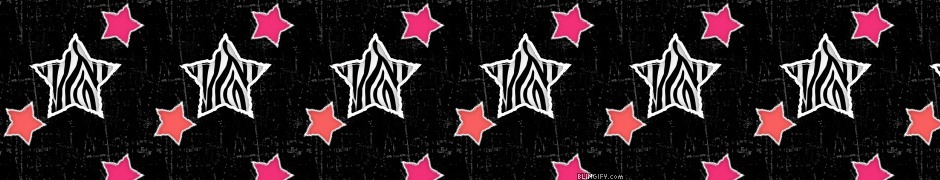 Zebra Star google plus cover Zebra Star google plus cover